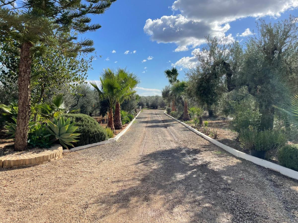 El Paraiso Del Olivar Bollullos de la Mitacion ภายนอก รูปภาพ