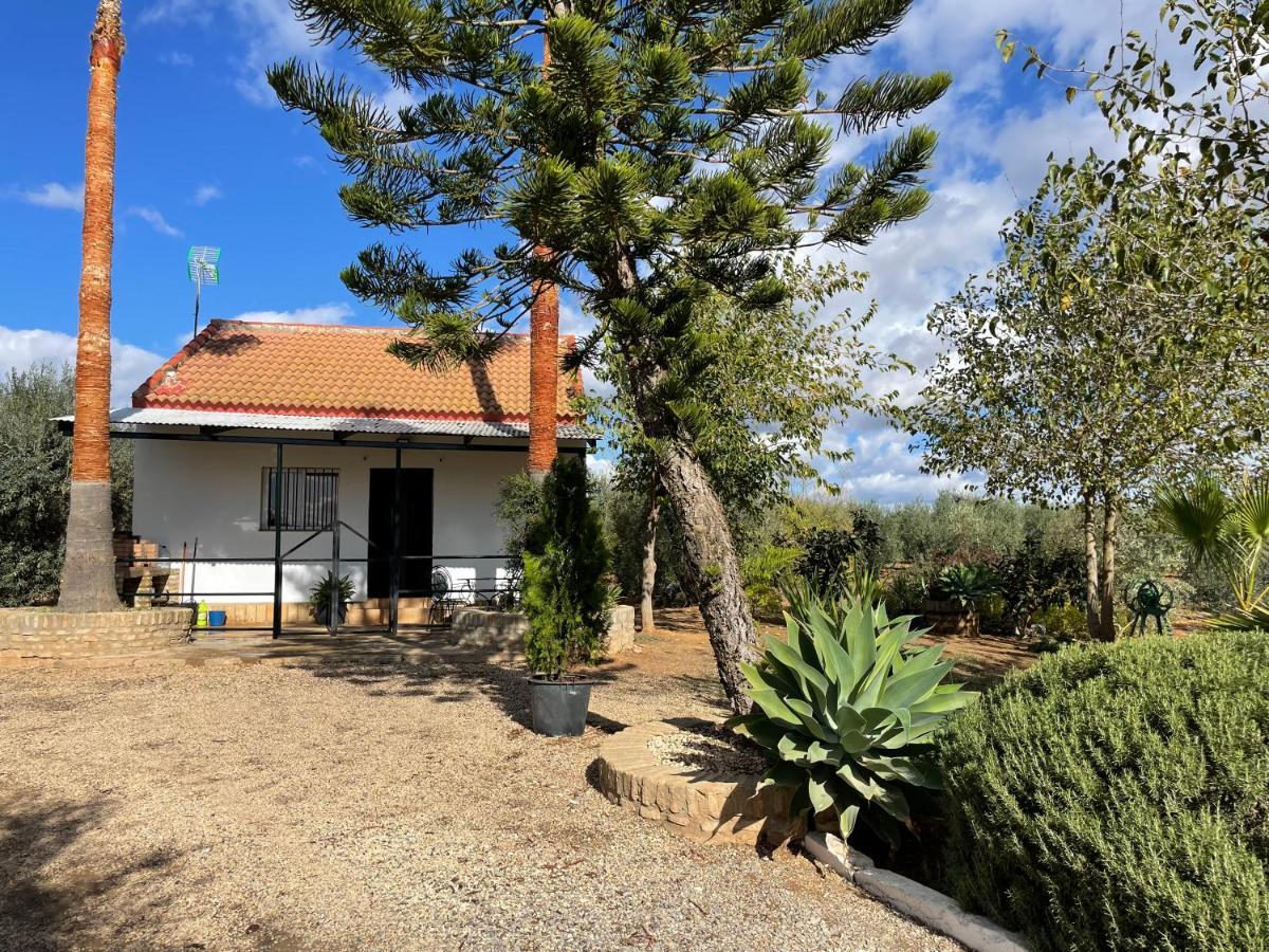 El Paraiso Del Olivar Bollullos de la Mitacion ภายนอก รูปภาพ