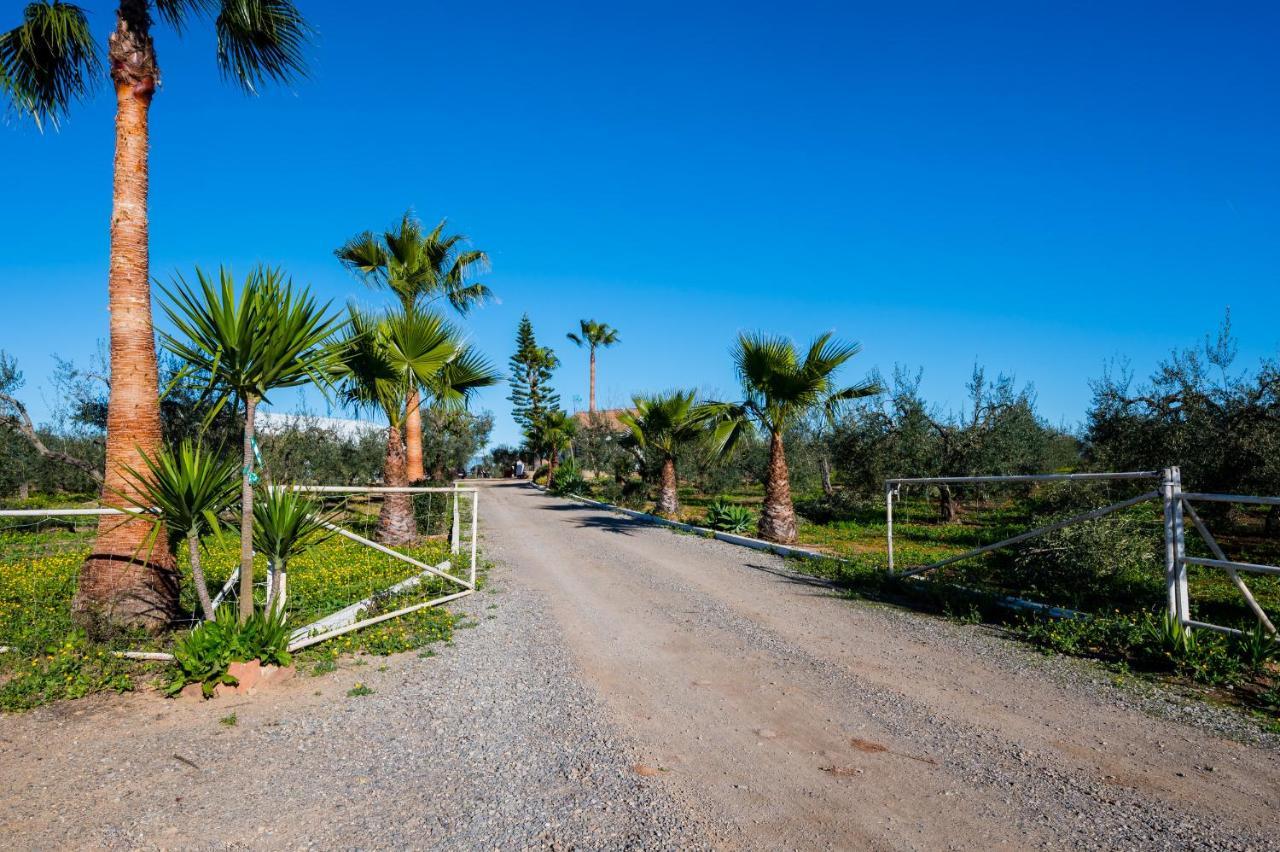 El Paraiso Del Olivar Bollullos de la Mitacion ภายนอก รูปภาพ