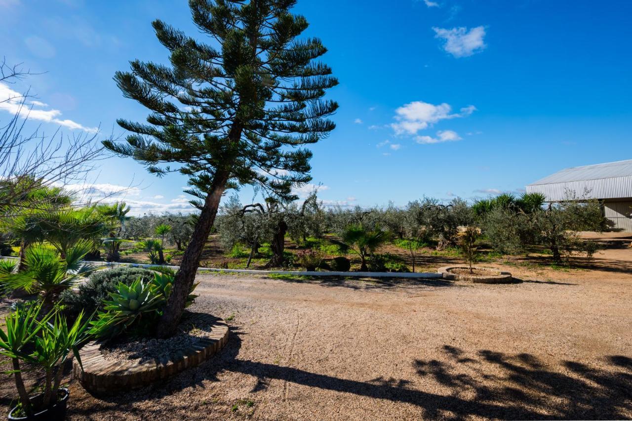 El Paraiso Del Olivar Bollullos de la Mitacion ภายนอก รูปภาพ