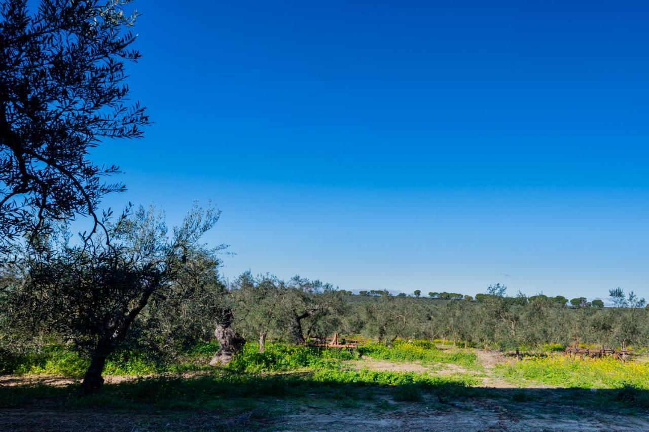 El Paraiso Del Olivar Bollullos de la Mitacion ภายนอก รูปภาพ